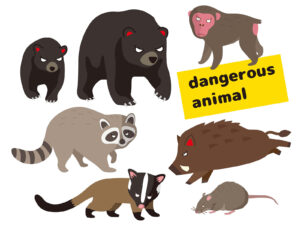 イラスト危険動物